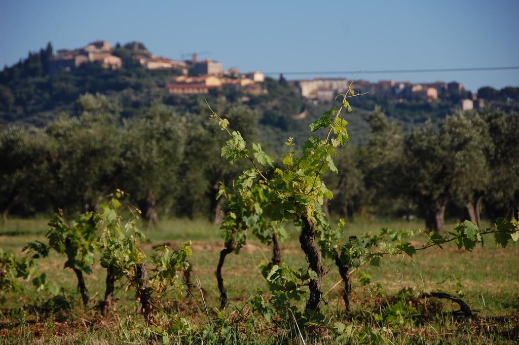 Agriturismo Quattro Pini Кастането Кардучи Екстериор снимка